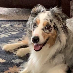 Meet your Posher, Jacki